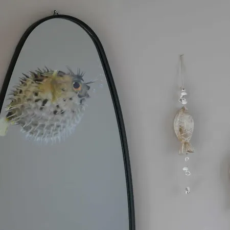 Kugelfisch Gm 69877 *