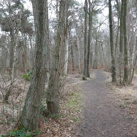 Kugelfisch Gm 69877 *