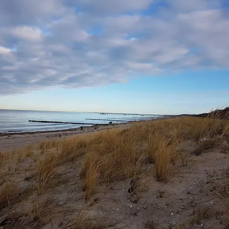 Kugelfisch Gm 69877 Gelbensande