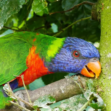 شقة Kugelfisch Gm 69877 Gelbensande