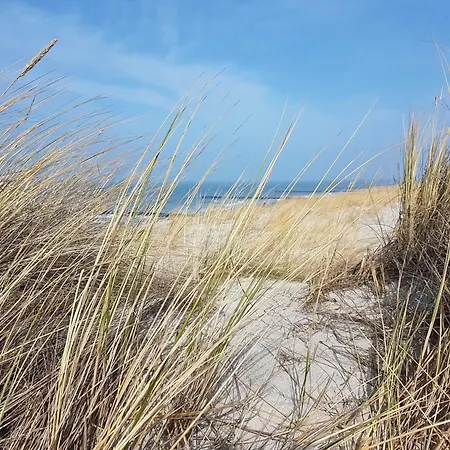 Kugelfisch Gm 69877 Gelbensande