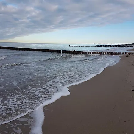 Kugelfisch Gm 69877 Appartement