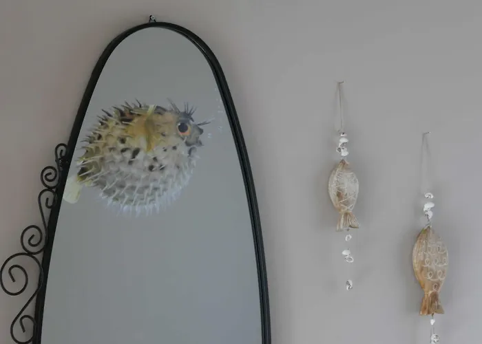 Kugelfisch Gm 69877 *