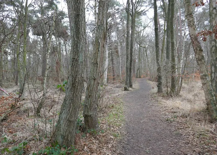 Kugelfisch Gm 69877 *