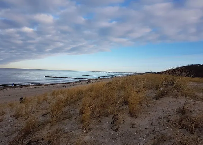 Kugelfisch Gm 69877 Gelbensande