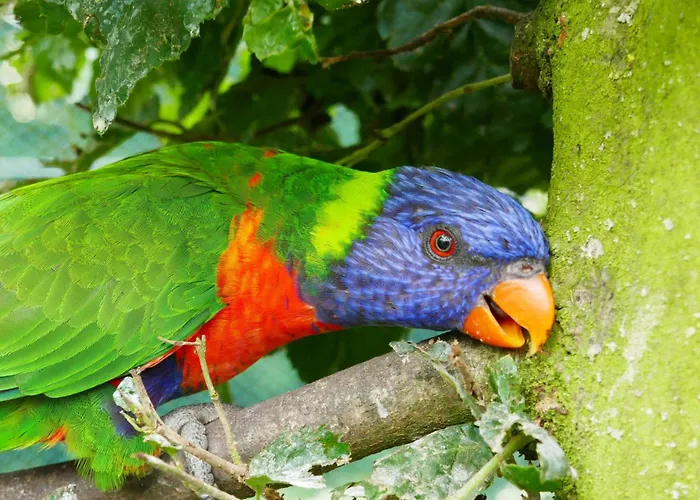 Appartamento Kugelfisch Gm 69877 Gelbensande