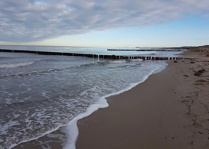 Kugelfisch Gm 69877 Appartamento